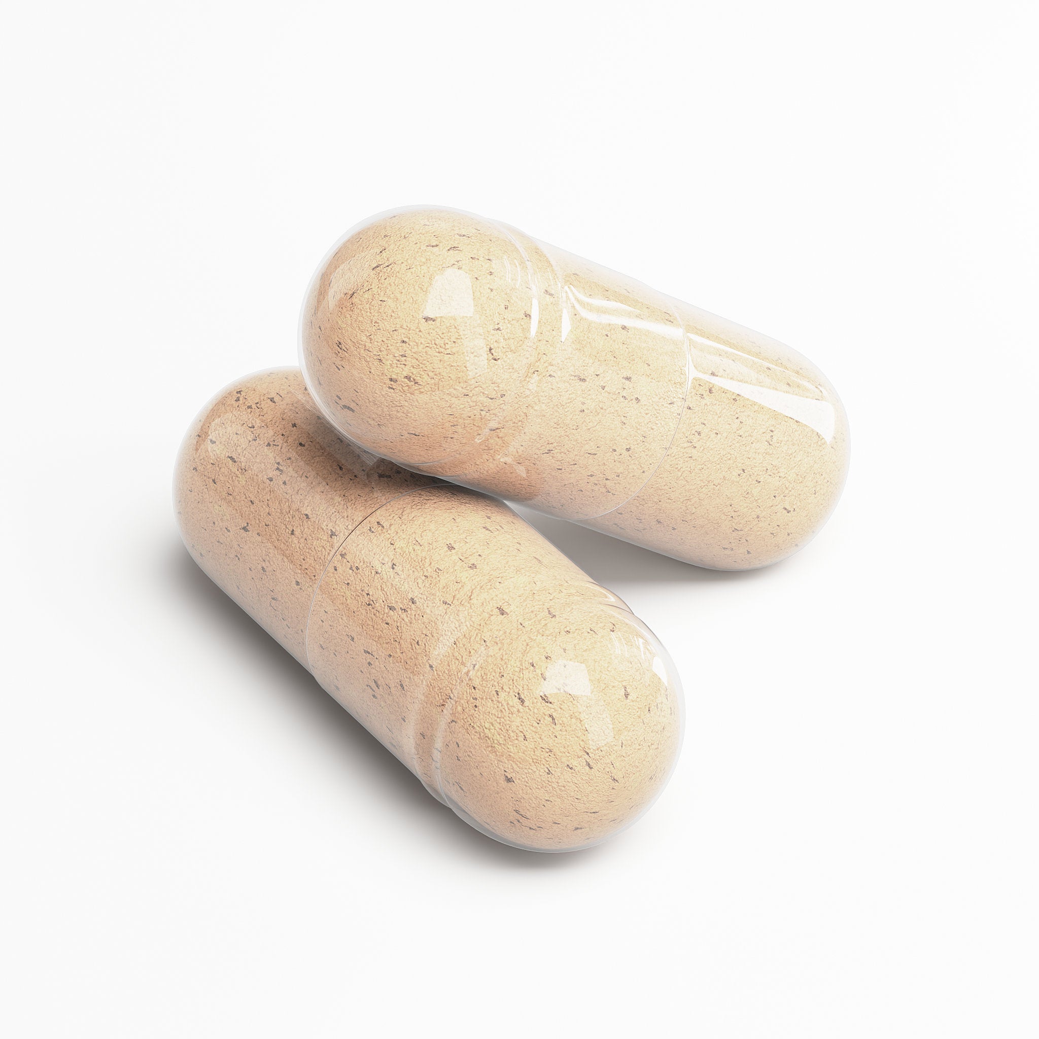 Bile Lipid Digest