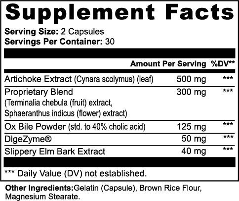 Bile Lipid Digest